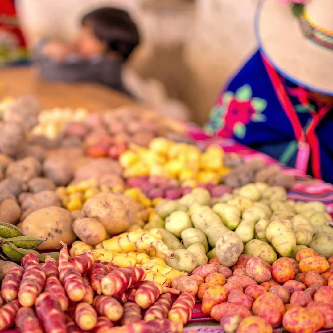 Piscina al aire libre
