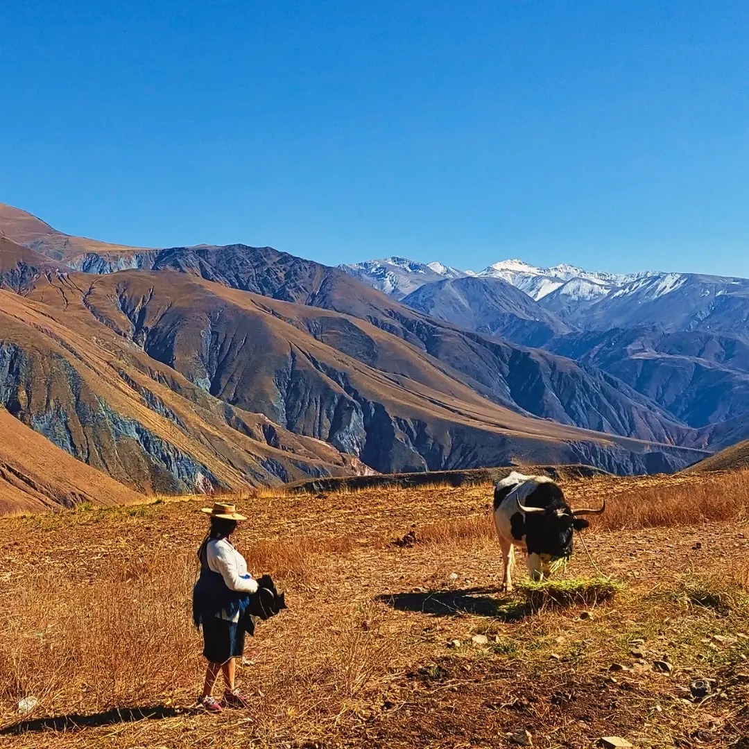 Piscina al aire libre