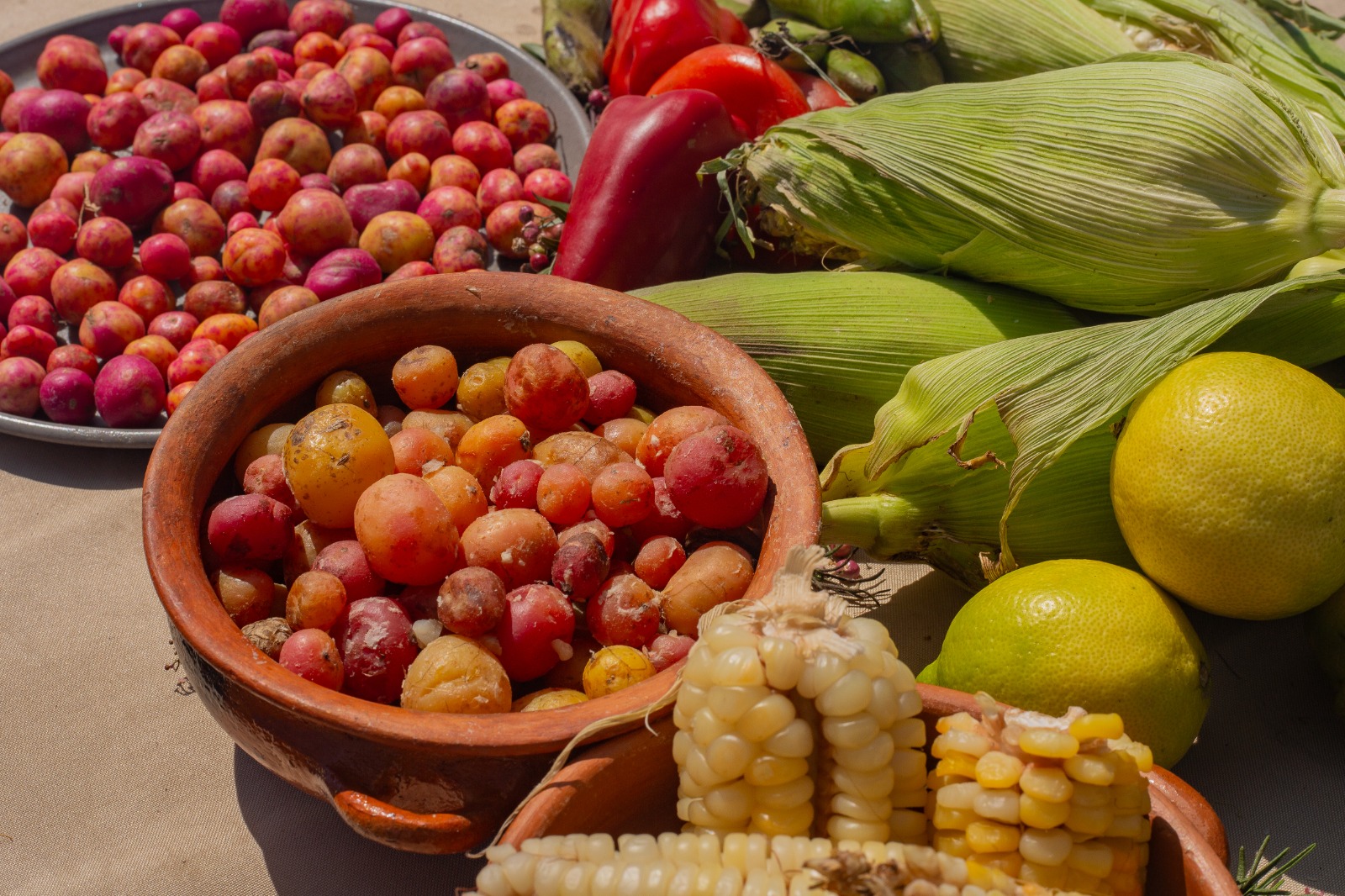 Habitación deluxe con cama grande