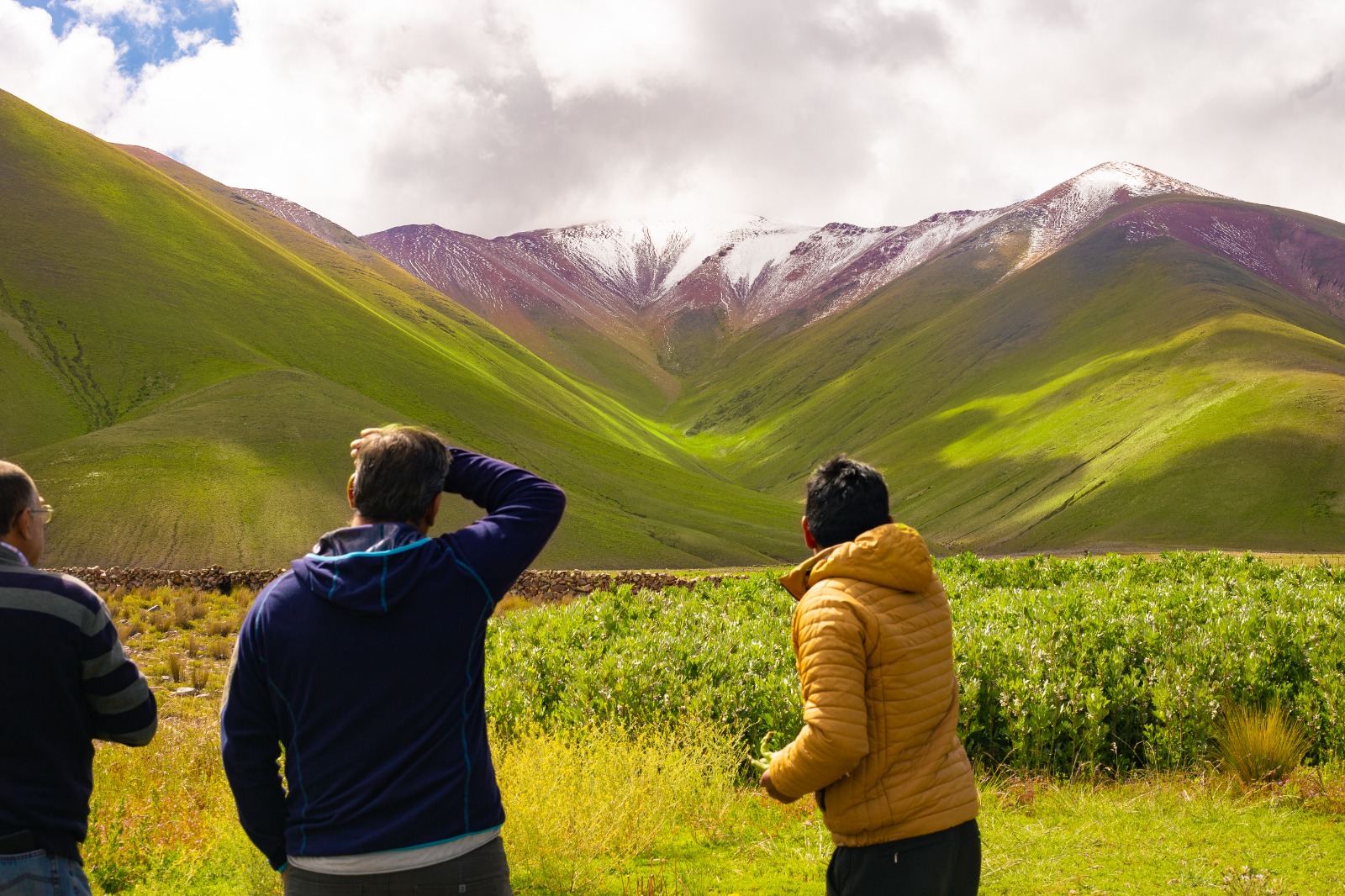 Habitación deluxe con cama grande